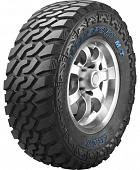 LION SPORT MT
