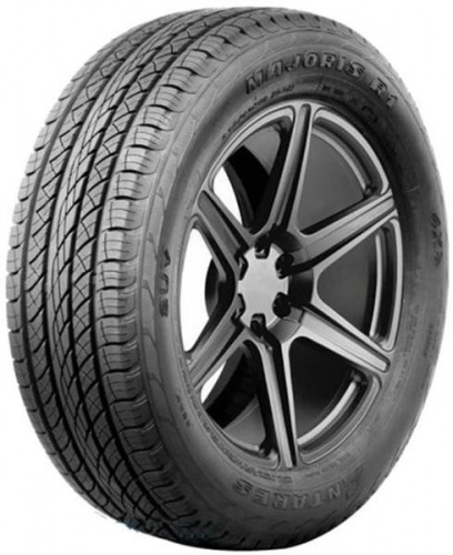 Шина Antares Majoris R1 295/35R21 107W