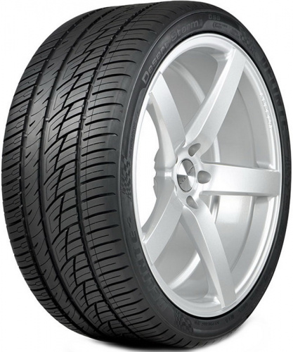Шина Delinte Desert storm ii ds8 255/40 R19 100Y