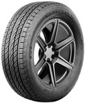 Шина Antares Majoris R1 295/35R21 107W